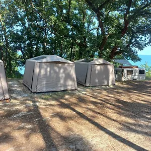  Kemp Ecoclub